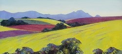 Canola Fields - Southern Cape | 2024 | Oil on Canvas | 40 x 66 cm